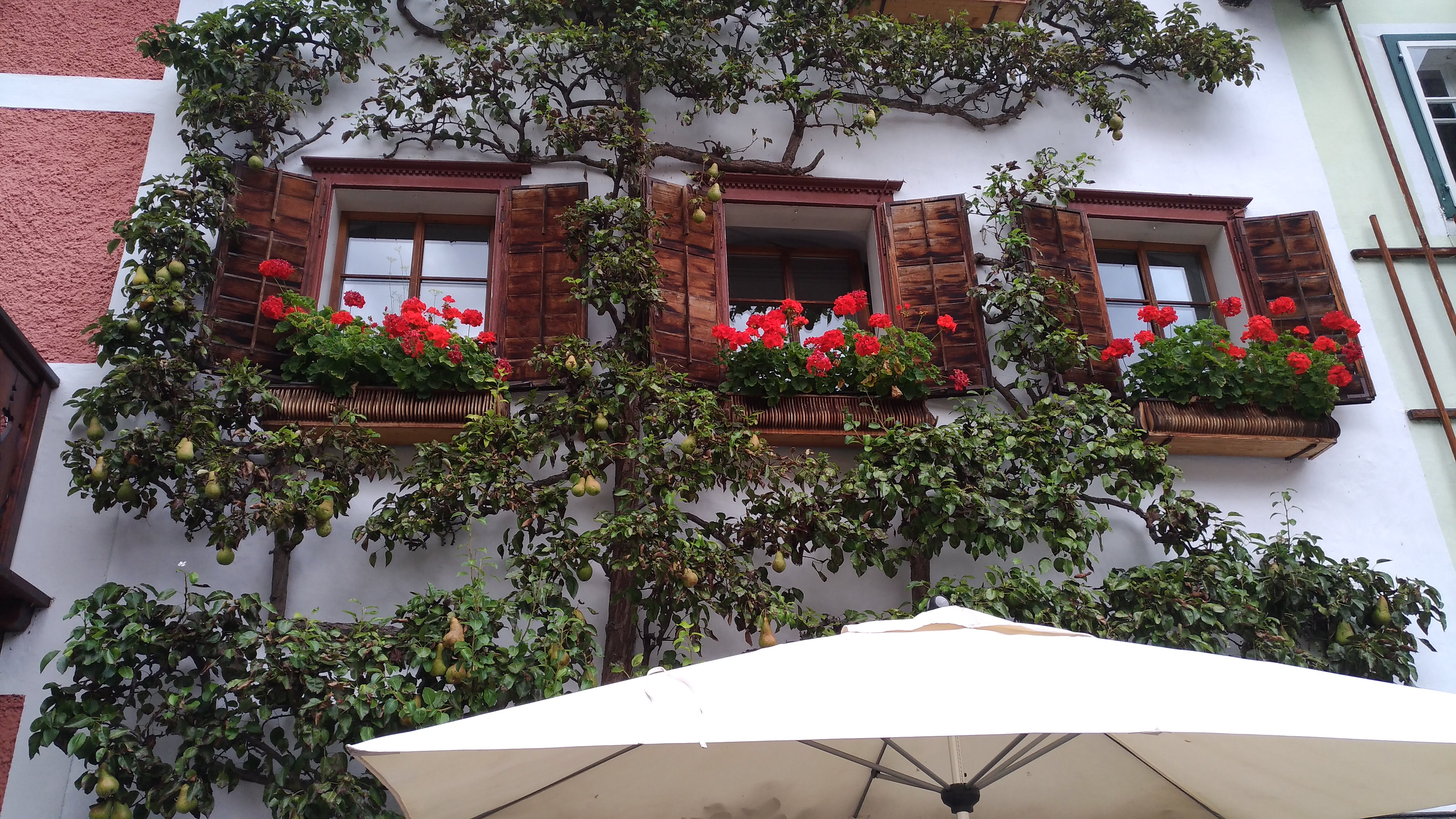 P 20170821 122654 - 奧地利必遊景點 - 哈修塔特(Hallstatt) 寧靜絕美的歐風小鎮