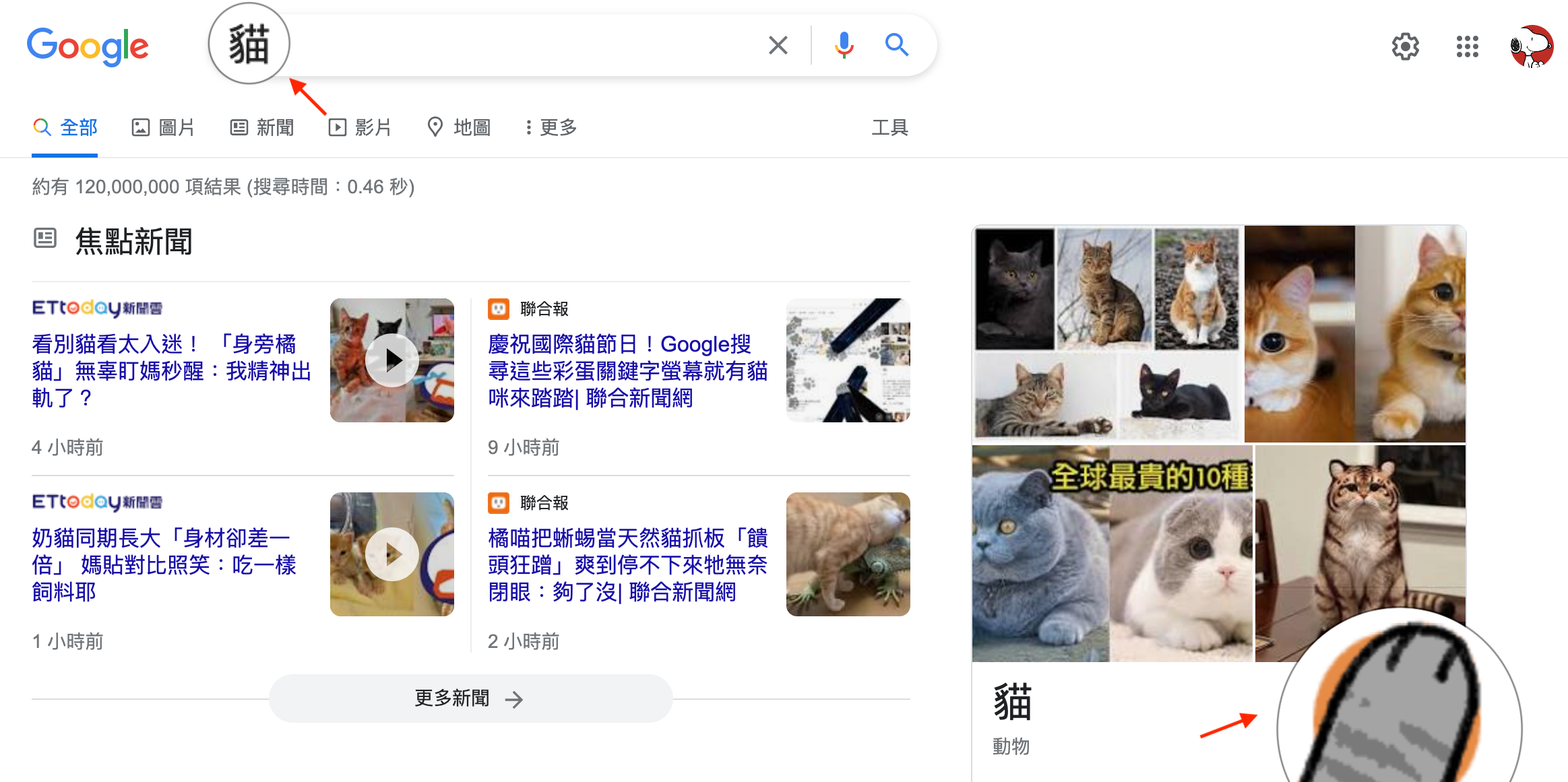 image - Google 搜尋「貓」療癒小彩蛋！滿滿的貓爪陪你慶祝國際貓貓日