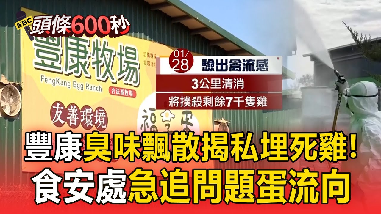 台中豐康牧場私埋死雞爭議引發民眾關注