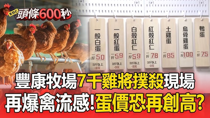 豐康牧場案場封鎖與撲殺處置引發關注