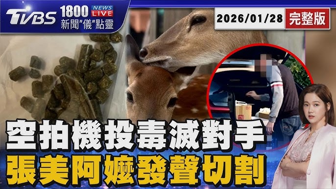 張美阿嬤兒涉空拍機投毒案相關新聞畫面