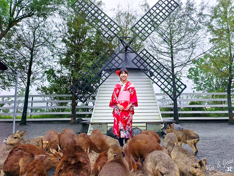 宜蘭三星張美阿嬤農場親子互動動物與體驗活動示意