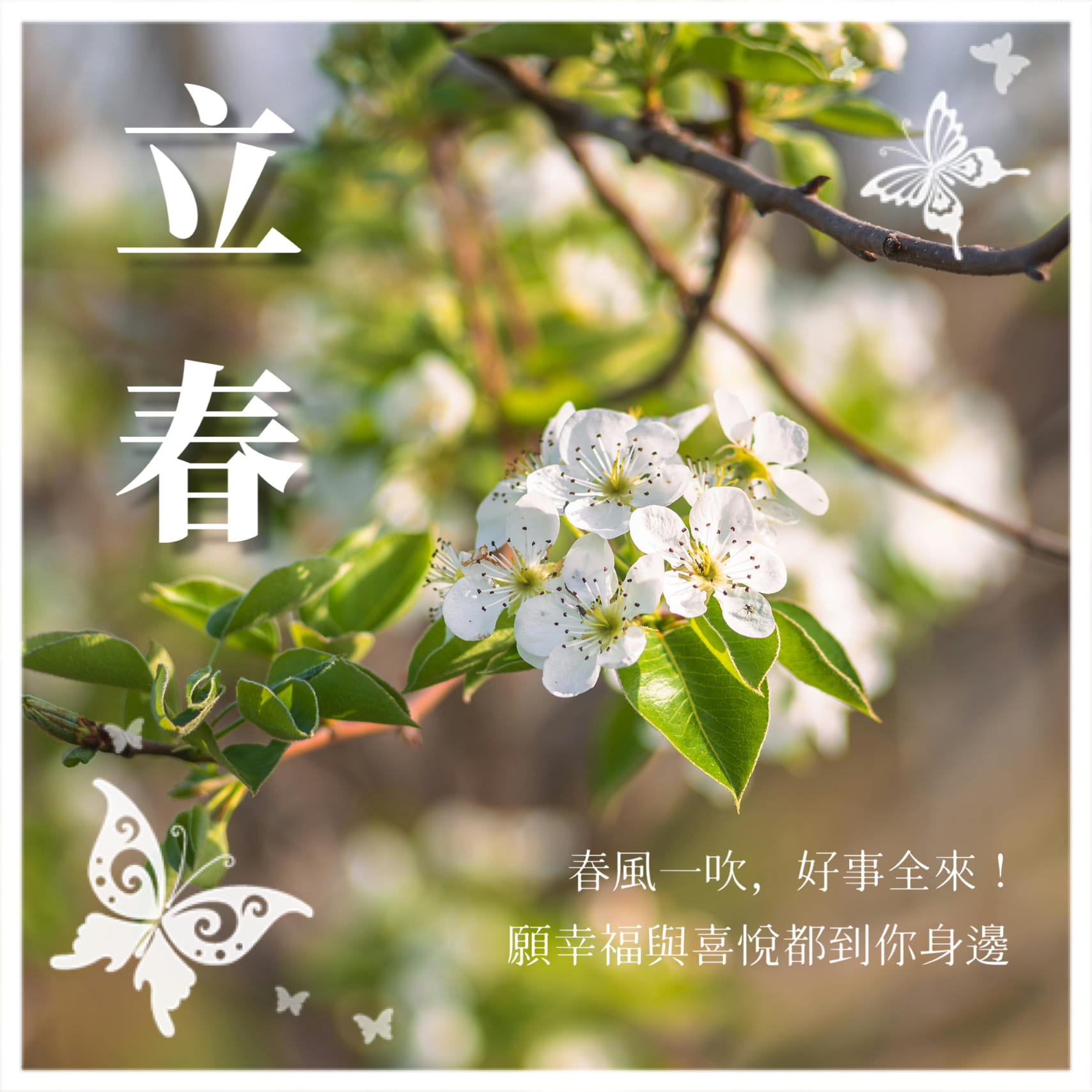 立春習俗延伸：立春祝福語與迎春儀式感